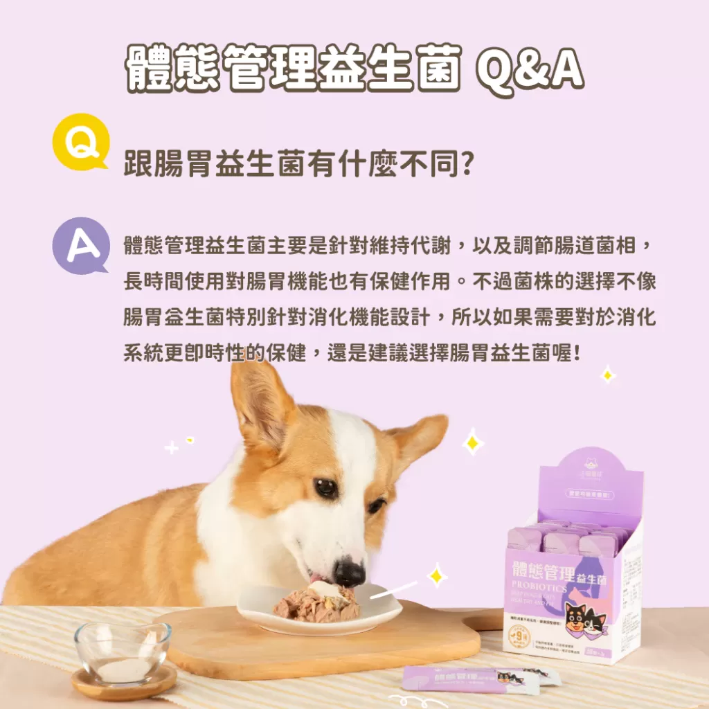 汪喵星球 體態管理益生菌商品介紹-1-2
