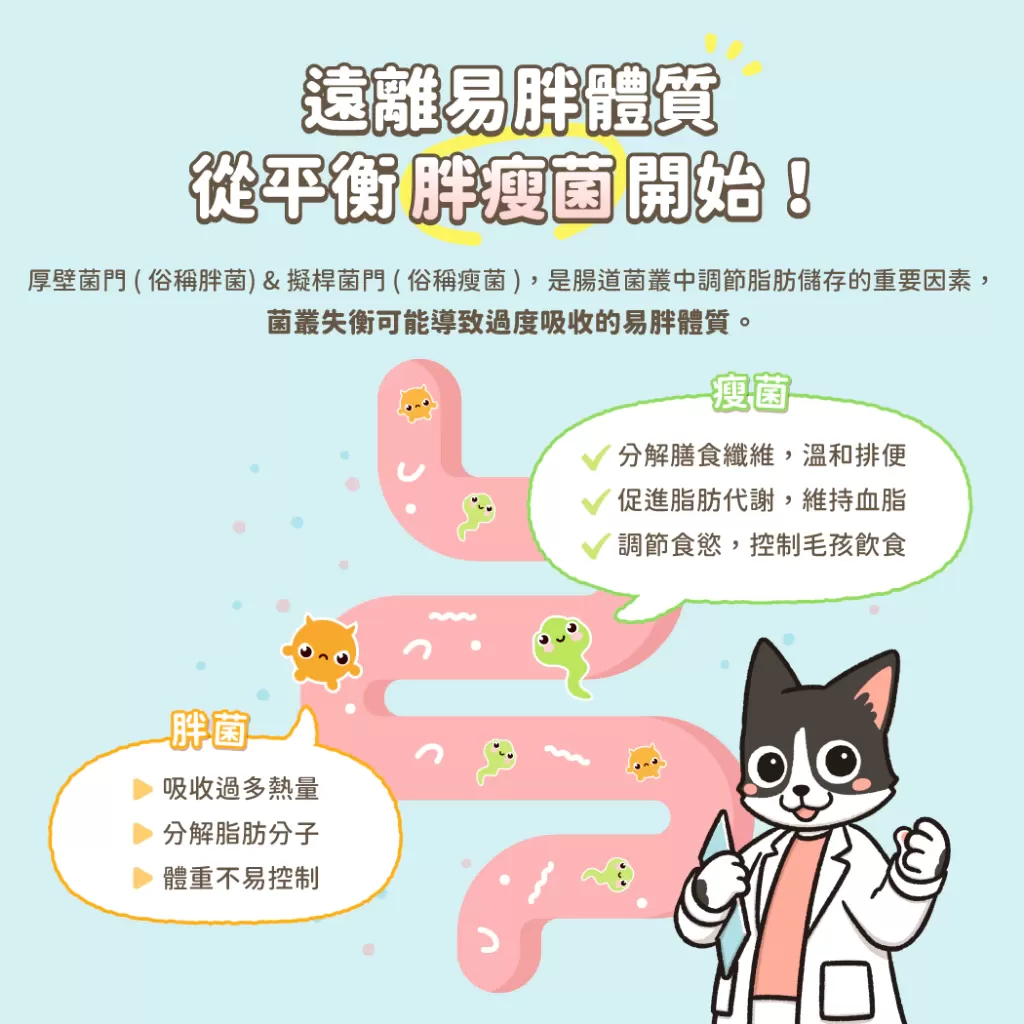 汪喵星球 體態管理益生菌商品介紹-1-6