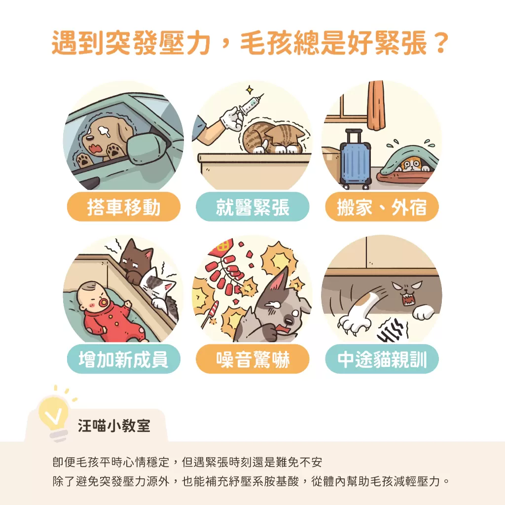 汪喵星球 紓壓胺基酸商品介紹-1-6