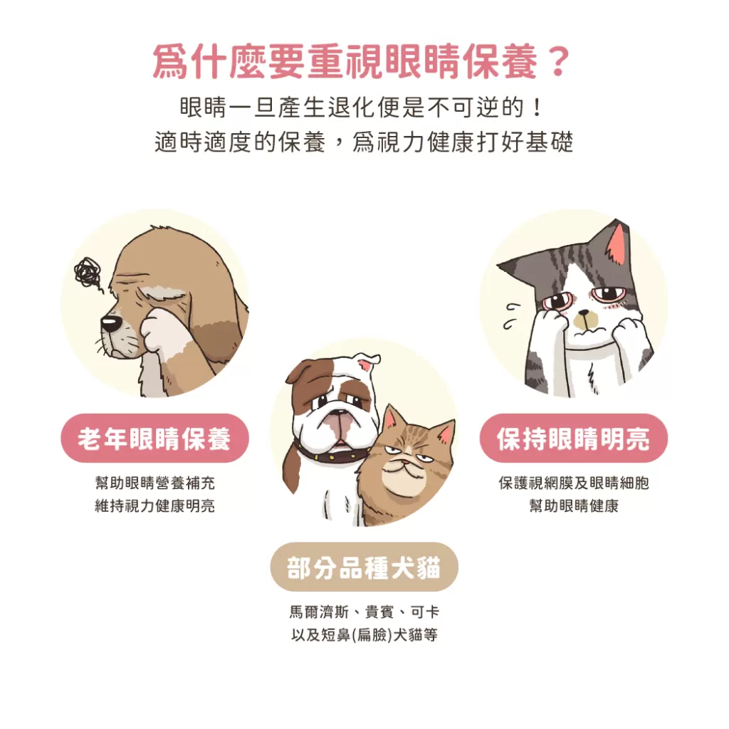 汪喵星球 護眼好明亮保養粉商品介紹-1-4