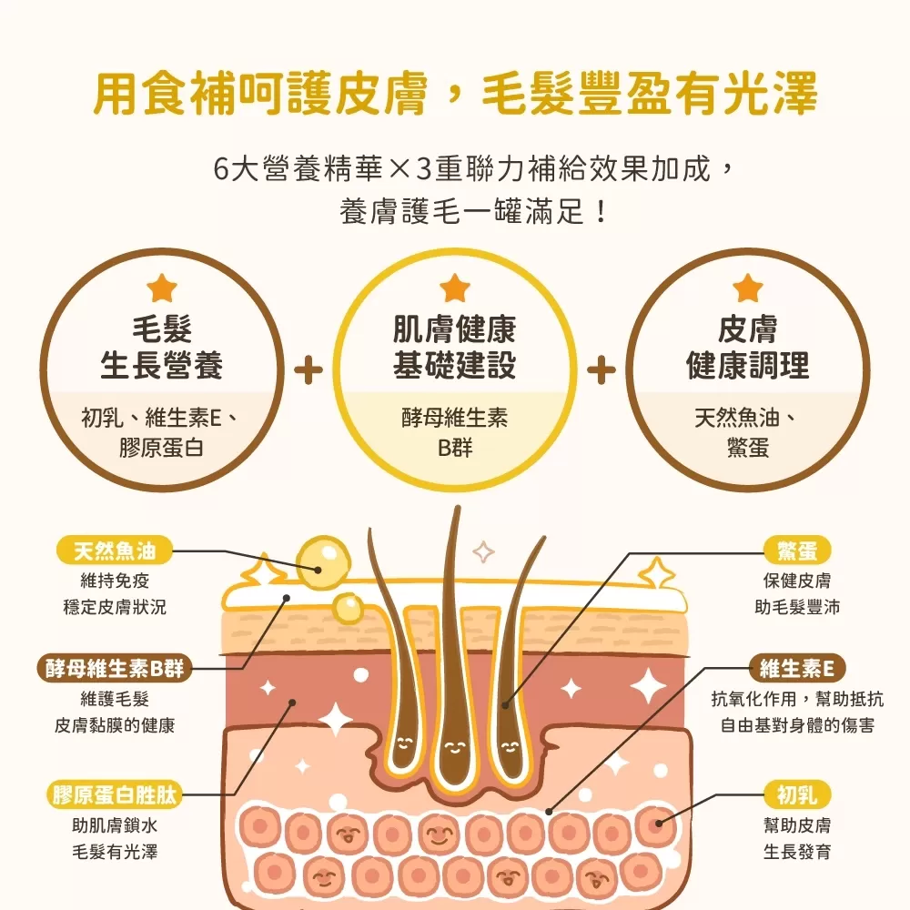 汪喵星球 亮毛護膚鱉蛋粉商品介紹-1-2