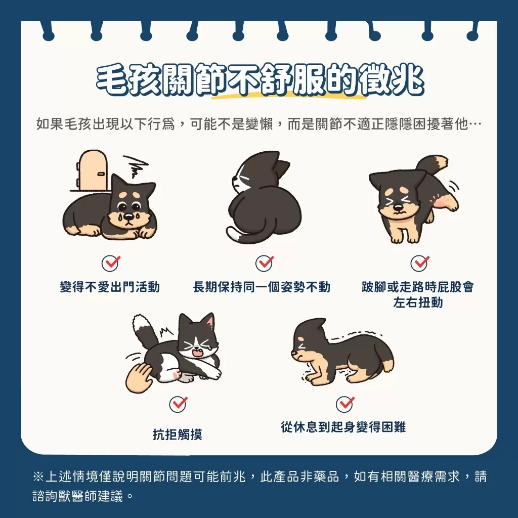 汪喵 MSM犬貓關節保養粉(膠囊) 120顆商品介紹-1-7