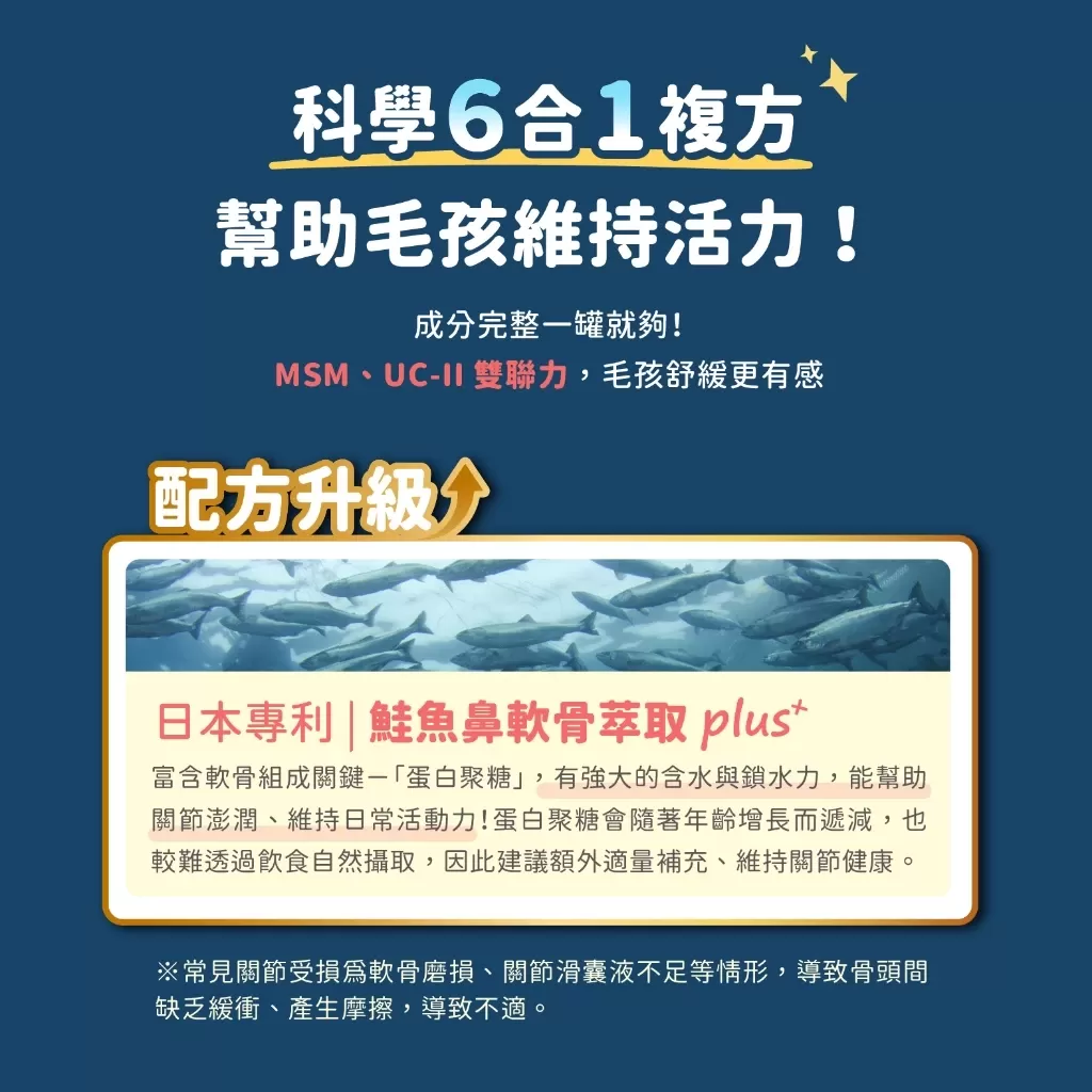 汪喵 MSM犬貓關節保養粉(膠囊)  35顆商品介紹-1-5