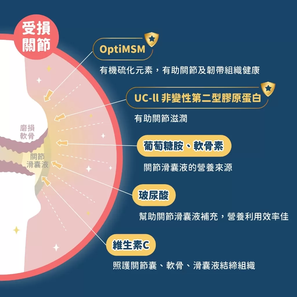 汪喵 MSM犬貓關節保養粉(膠囊)  35顆商品介紹-1-6