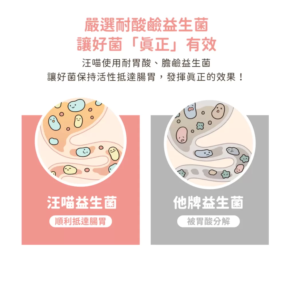 汪喵 皮膚益生菌 盒裝30包 2g 益生菌 護膚營養 舒緩敏感商品介紹-1-3