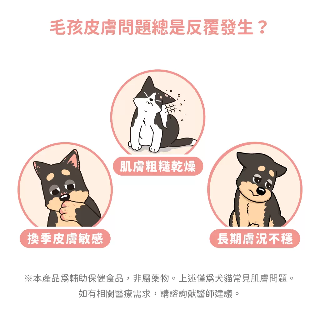 汪喵 皮膚益生菌 盒裝30包 2g 益生菌 護膚營養 舒緩敏感商品介紹-1-5