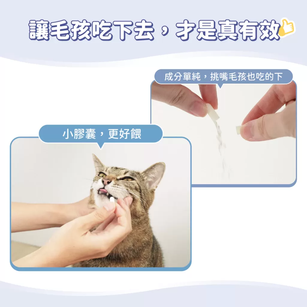 汪喵星球   泌尿道健康保養粉 泌尿道保健商品介紹-1-2