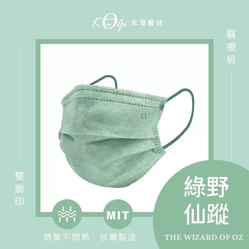 宏瑋 成人口罩商品介紹-1-3