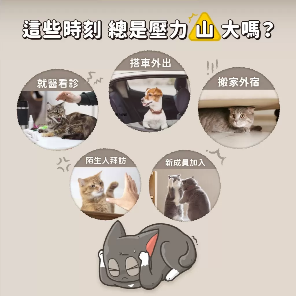 怪獸部落LitoMon  OK！好心情 盒裝 (1.5g，30包) 寵物保健 正向穩定情緒商品介紹-1-5