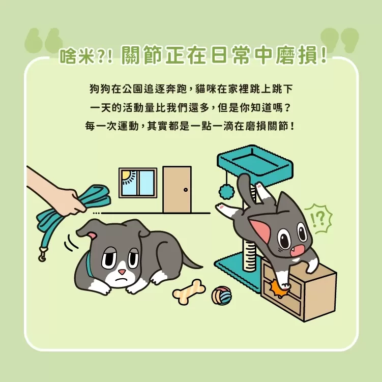 【怪獸部落LitoMon】OK！軟骨素 盒裝 (1.5g，30包) 寵物軟骨素 關節保養商品介紹-1-6