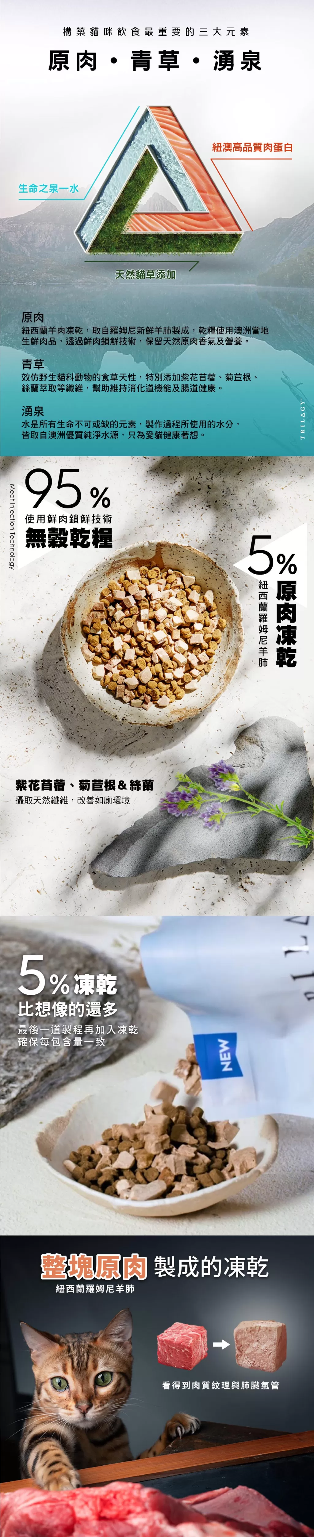 奇境 1.8Kg (成貓)  袋鼠商品介紹-1-3