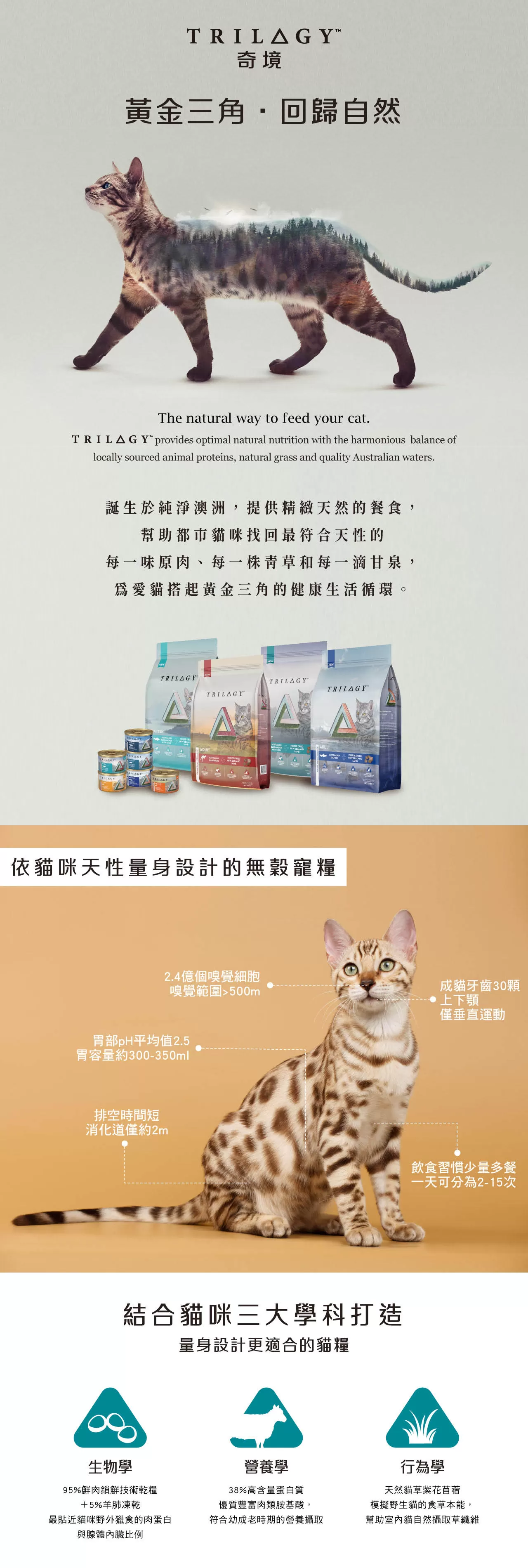 奇境 1.8Kg (成貓)  袋鼠商品介紹-1-4