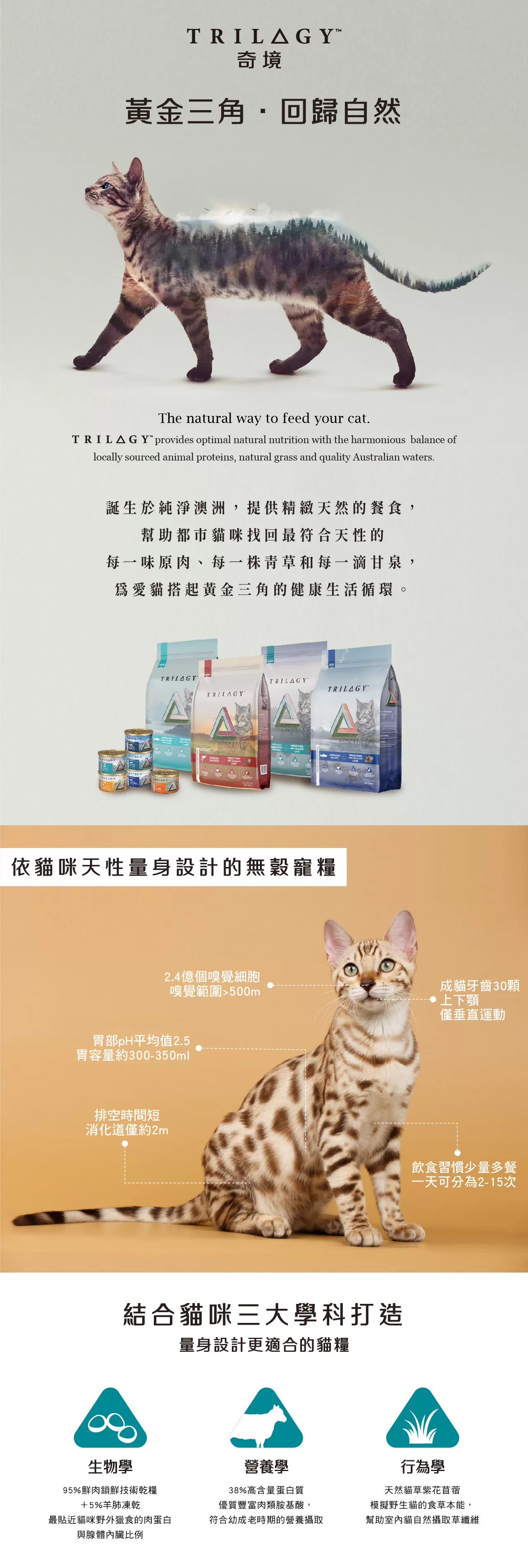 【奇境】無穀凍乾幼貓糧 尖吻鱸&鮪魚+羊肺凍乾1.2kg商品介紹-1-4