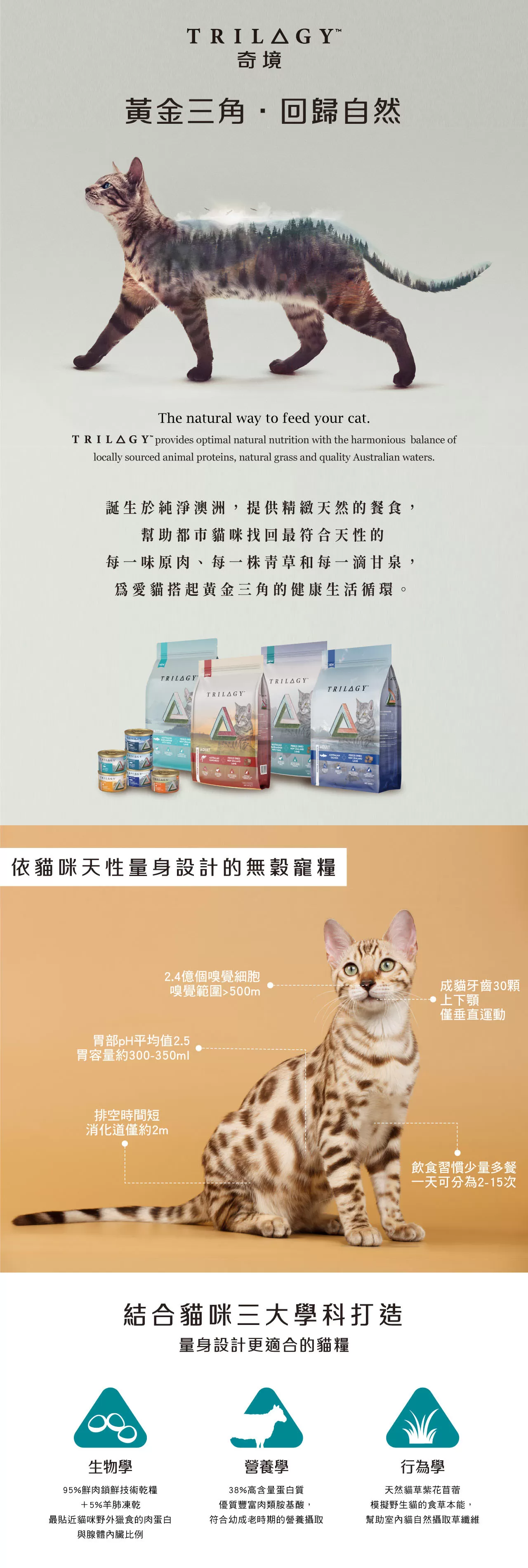 奇境 1.8Kg (成貓) 尖吻鱸+鮪魚商品介紹-1-4