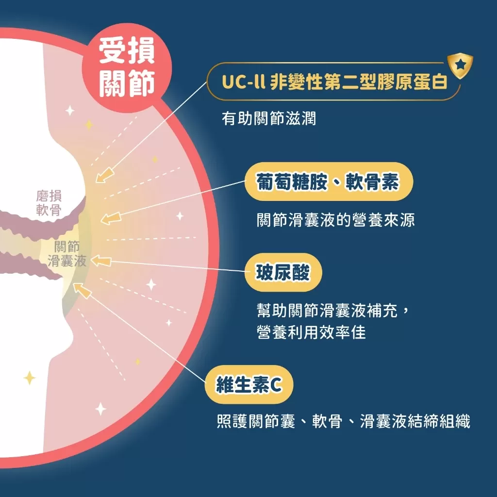 汪喵星球 UCII 關節保養粉 膠囊 35顆商品介紹-1-5