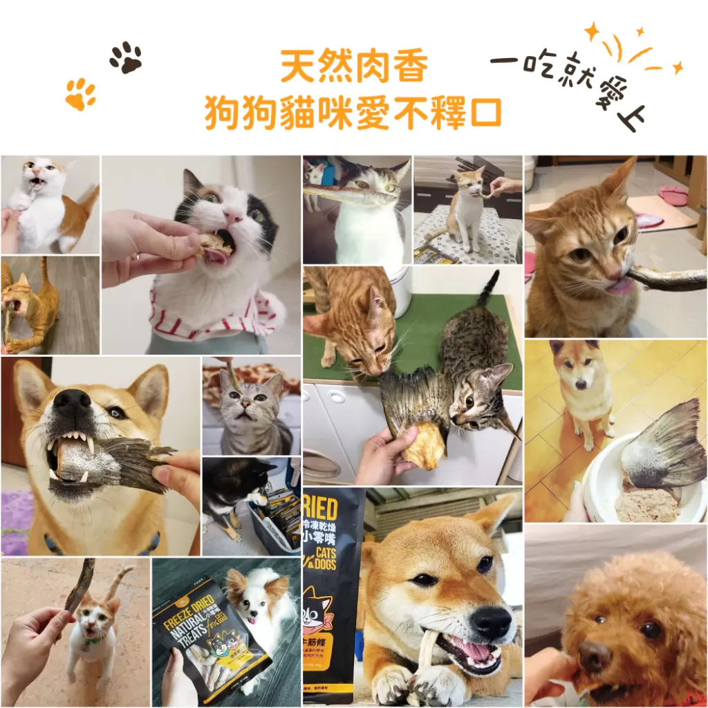 汪喵星球 【狗】原肉零食罐 犬貓冷凍乾燥原肉小零嘴 海味 山味 零食 凍乾 雞胸 骰子牛 小卷 牛心商品介紹-1-1