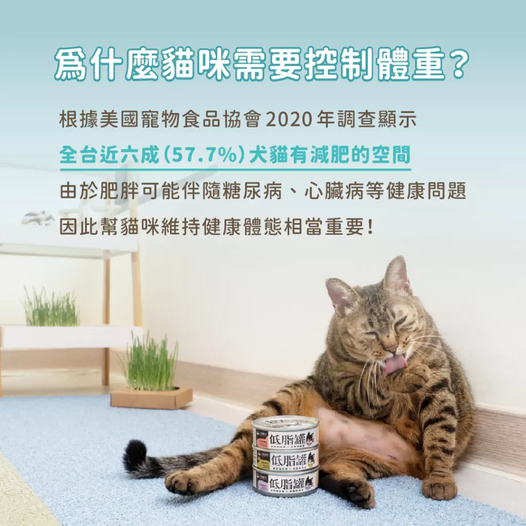 汪喵星球  低脂罐 80g 貓咪低脂無膠主食罐80g 主食罐 無膠 貓罐 貓主食 單罐 低脂罐 主食罐 貓罐頭商品介紹-1-9