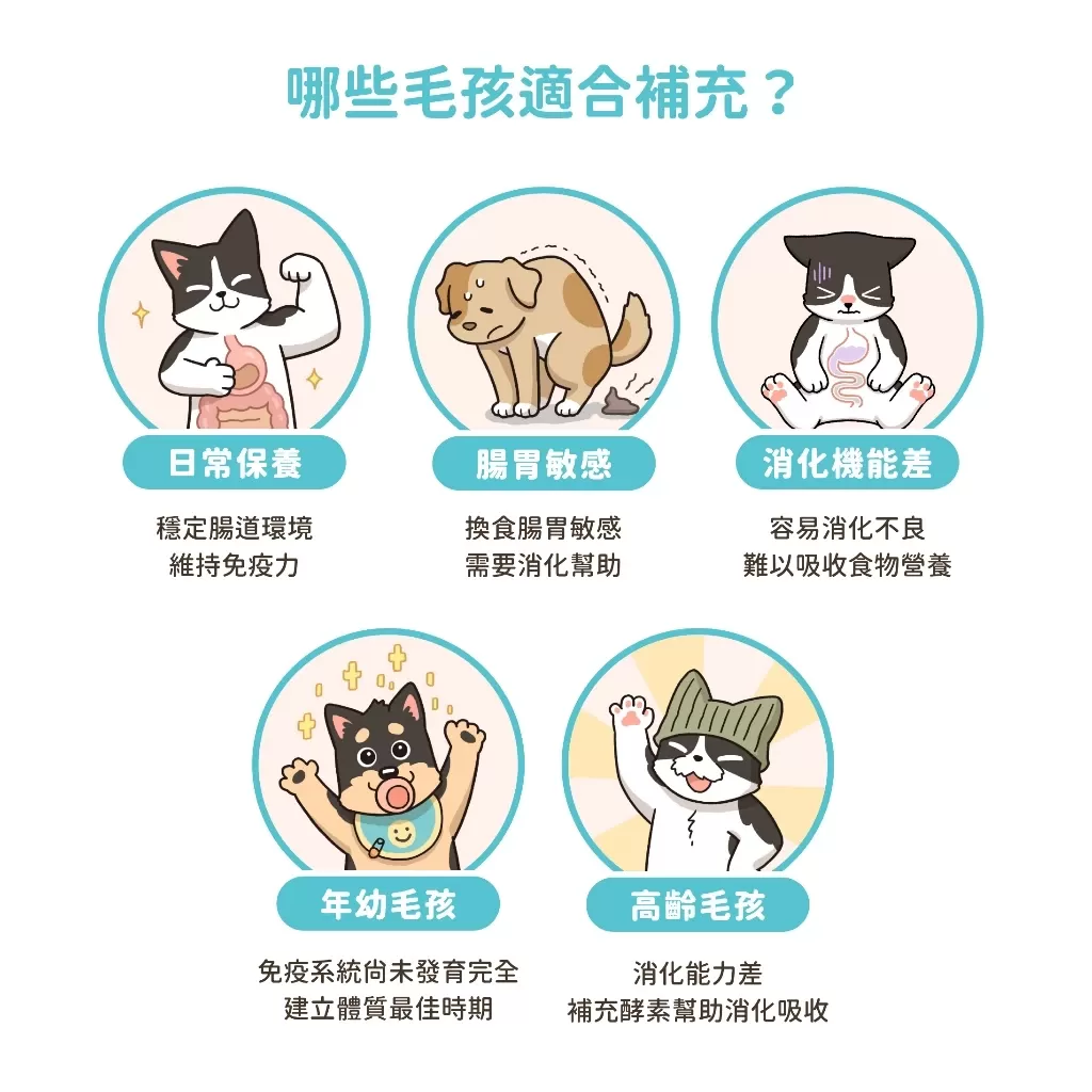 汪喵星球 腸胃益生菌商品介紹-1-3